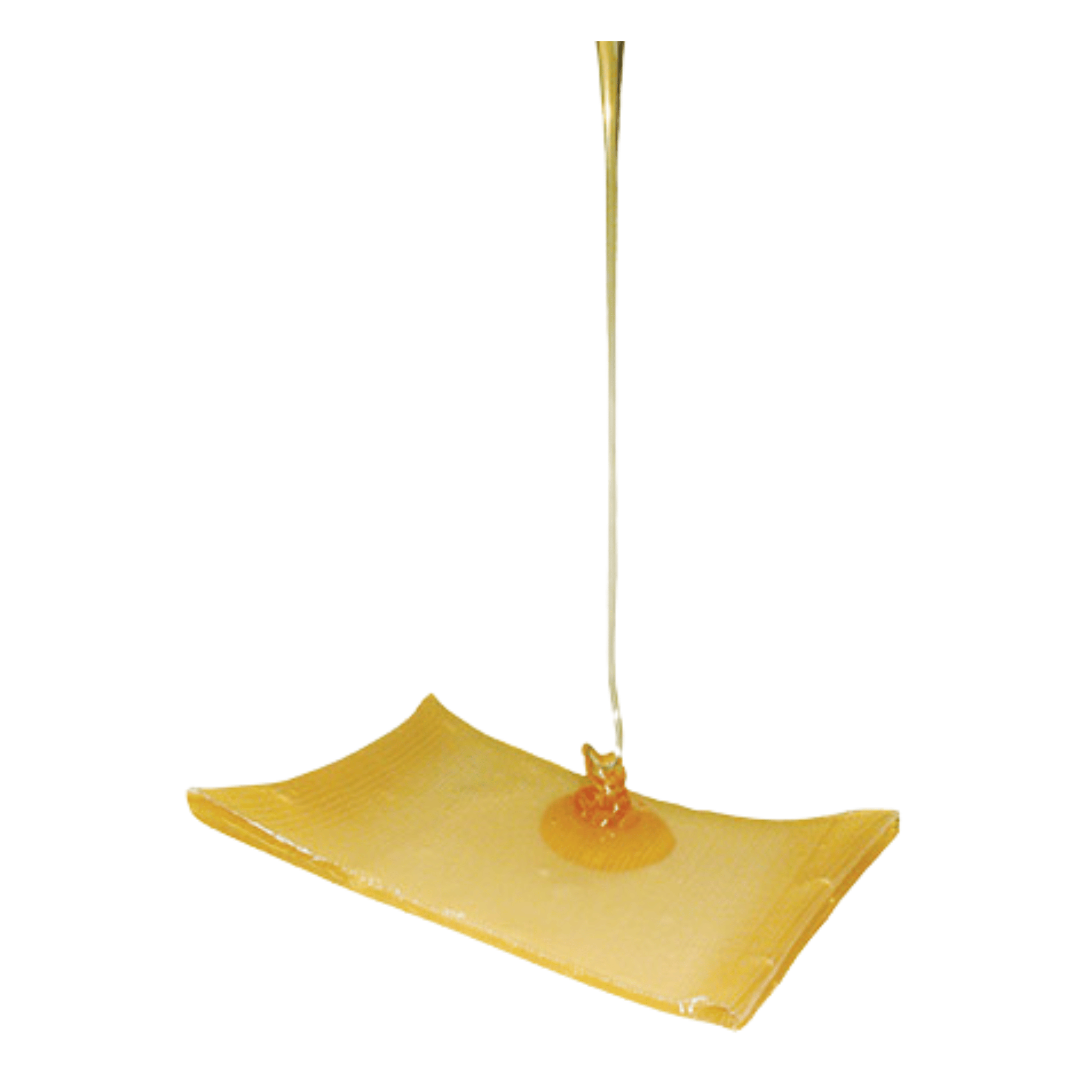 Activon Tulle Siatka z miodem manuka 10x10cm 1szt.