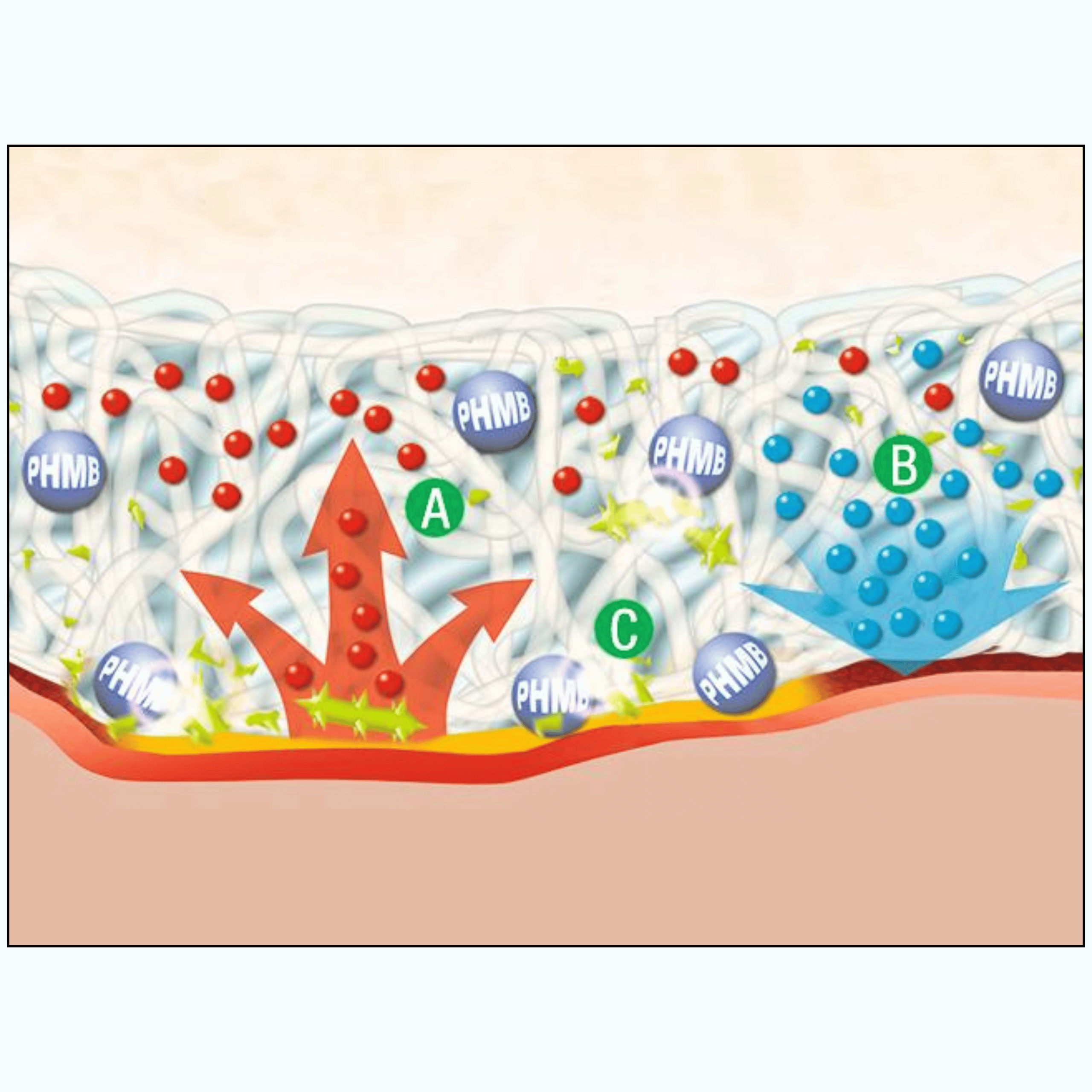 Opatrunek antybakteryjny Suprasorb X + PHMB 