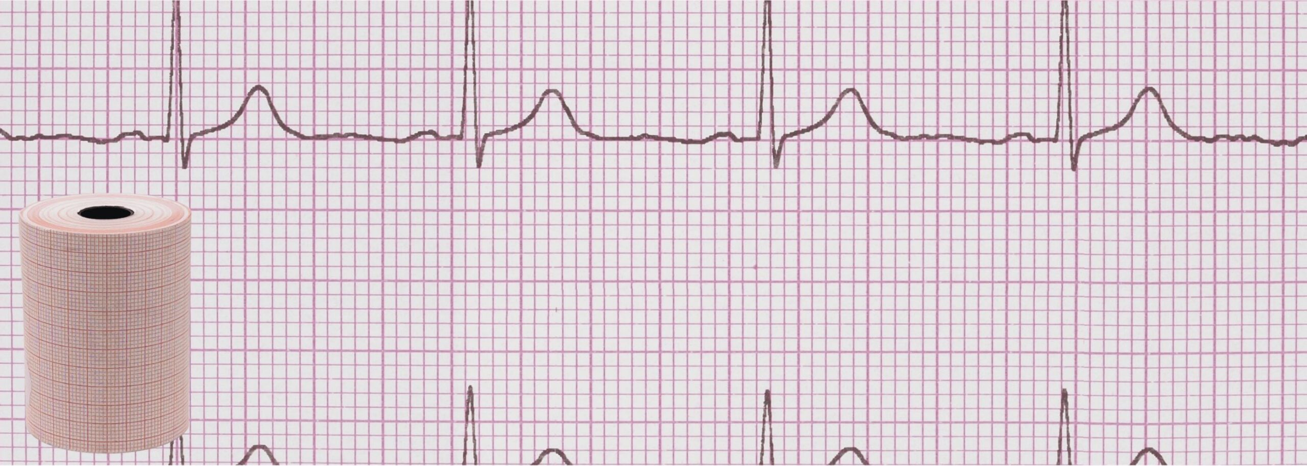 Papier do EKG 58mm x 25m Hegard 10szt