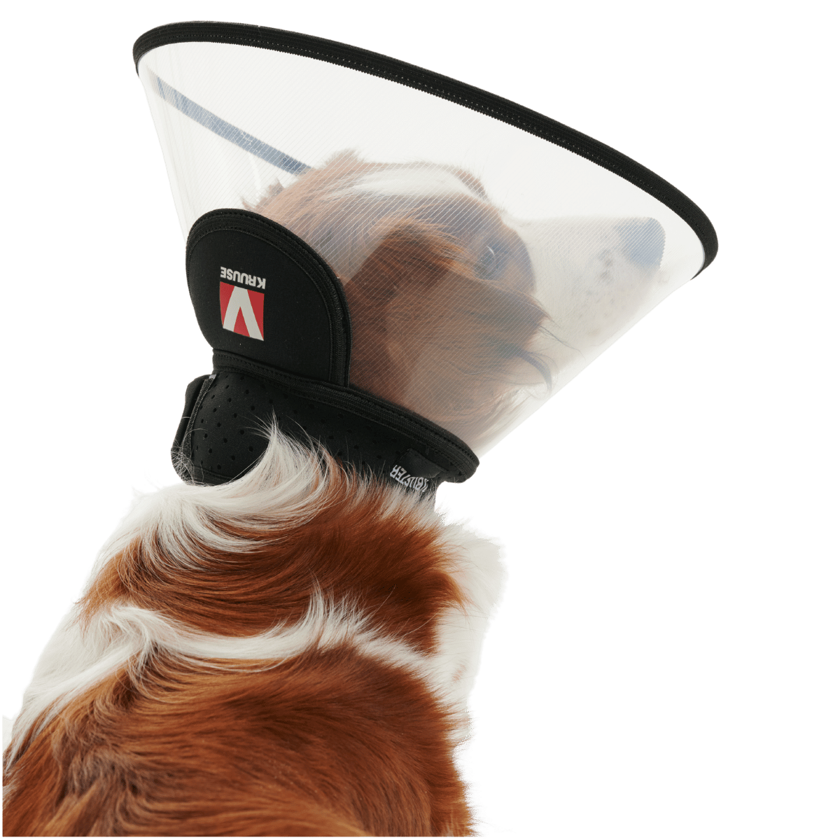 Kolnierz Complete Collar Buster